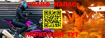 амф Гусь-Хрустальный