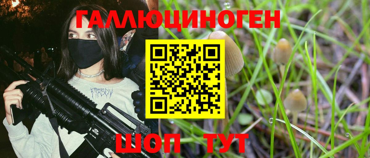 Галлюциногенные грибы ЛСД  Галлюциногенные грибы GOLDEN TEACHER  Вход с VPN  Магадан 