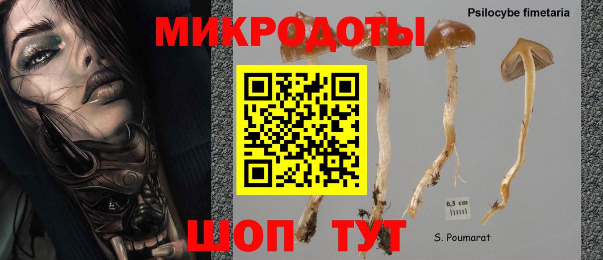 Псилоцибиновые грибы ЛСД Магадан